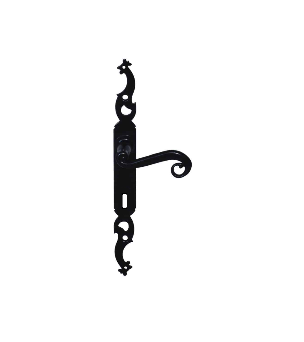Black iron door handles on long backplate bedroom key