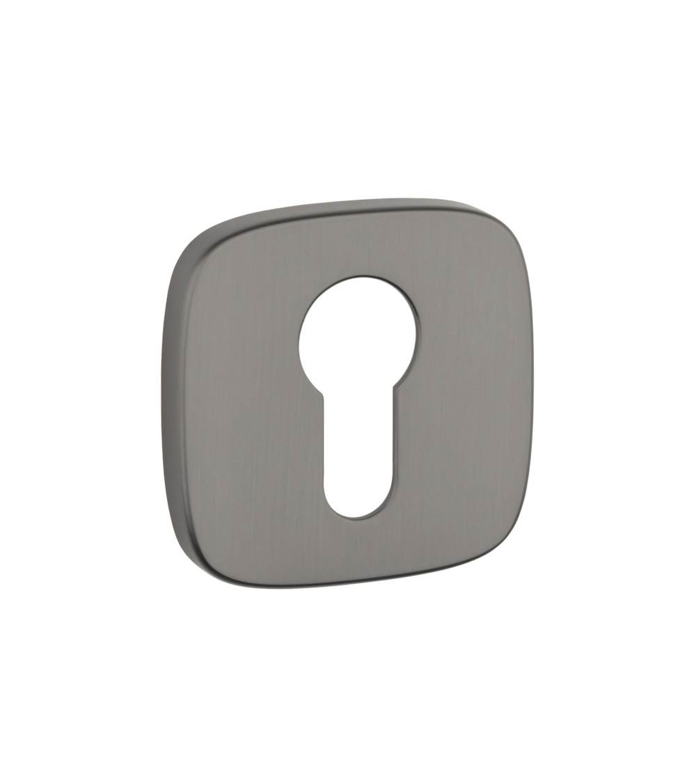 Keyhole door rose plate "i" design hardware