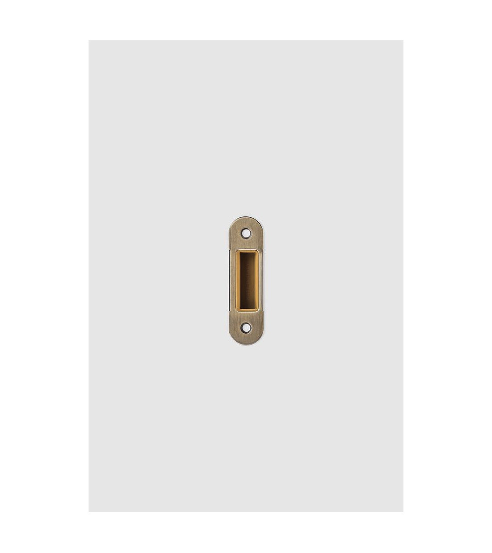 VERUM magnetic strike plate