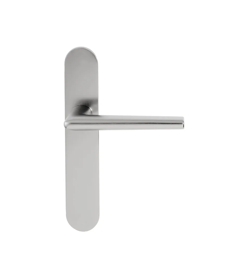 Socoa door handle on blank plate