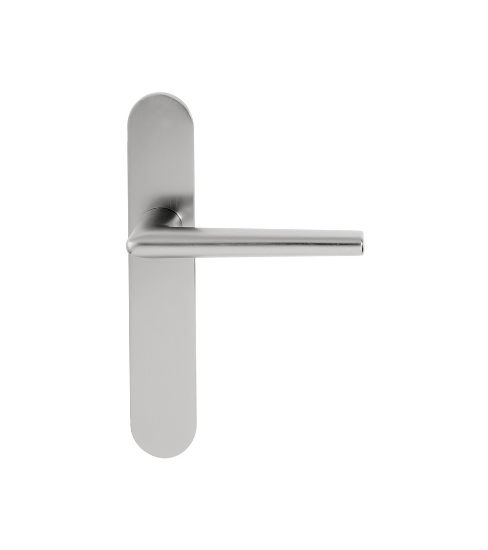 Socoa door handle on blank plate