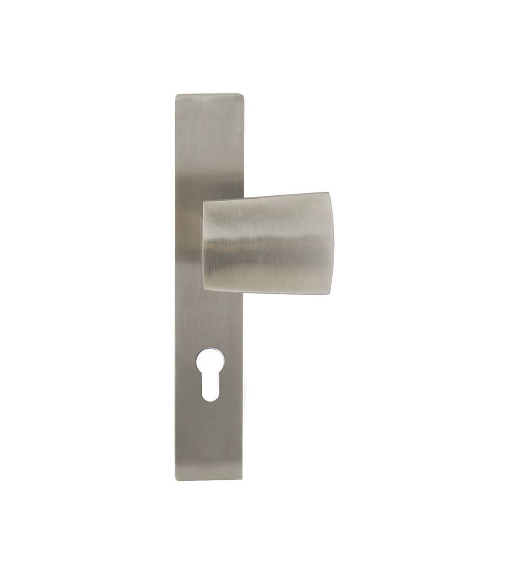 Thor stainless steel brushed matt entrance handle Cylinder