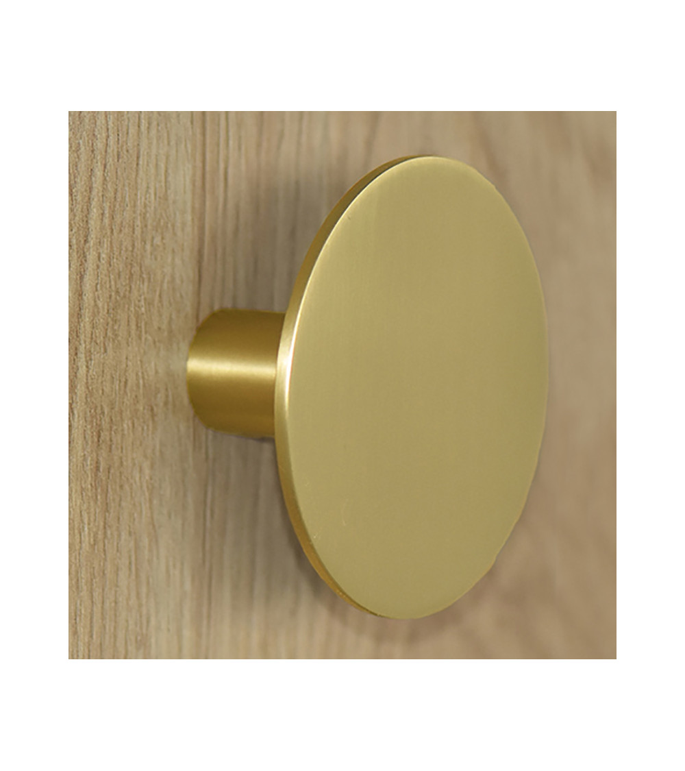 Disc Wall Hook Satin Gold D.80