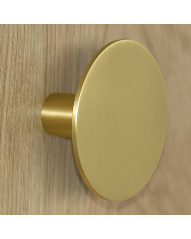 Disc Wall Hook Satin Gold D.80