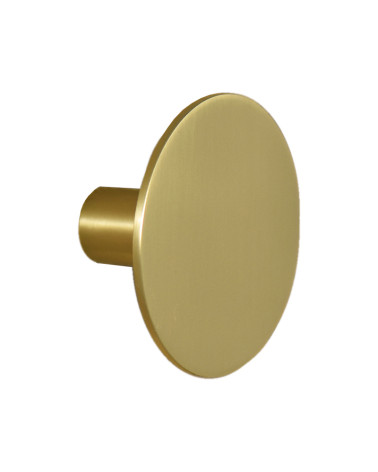Thin Disc Wall Hook Stainless Steel Satin Gold