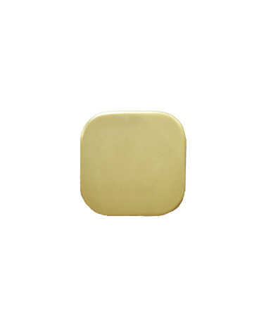 Square fine stainless steel wall hook Satin Gold D.60