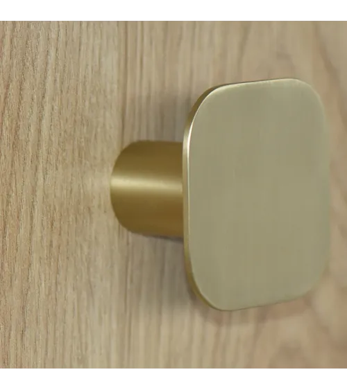Square fine stainless steel wall hook Satin Gold D.60