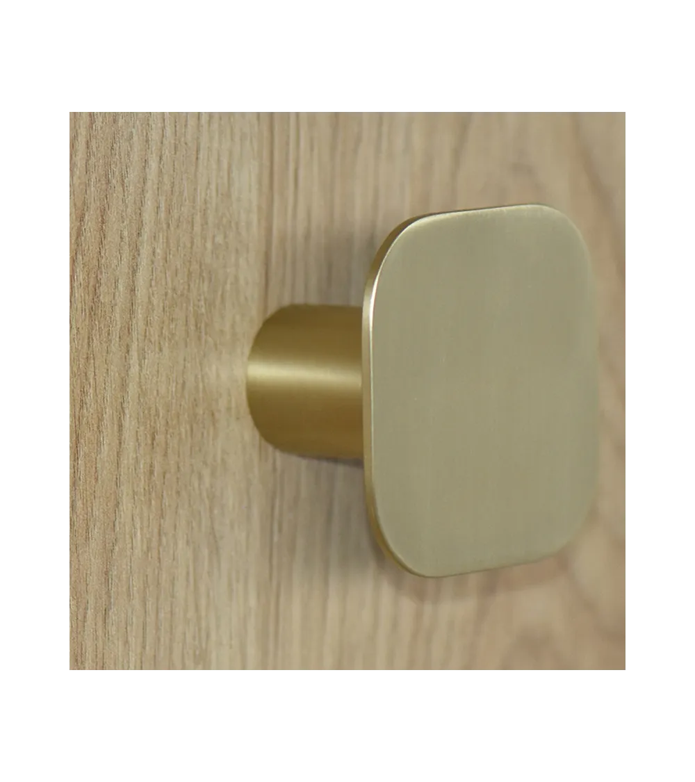 Square fine stainless steel wall hook Satin Gold D.60