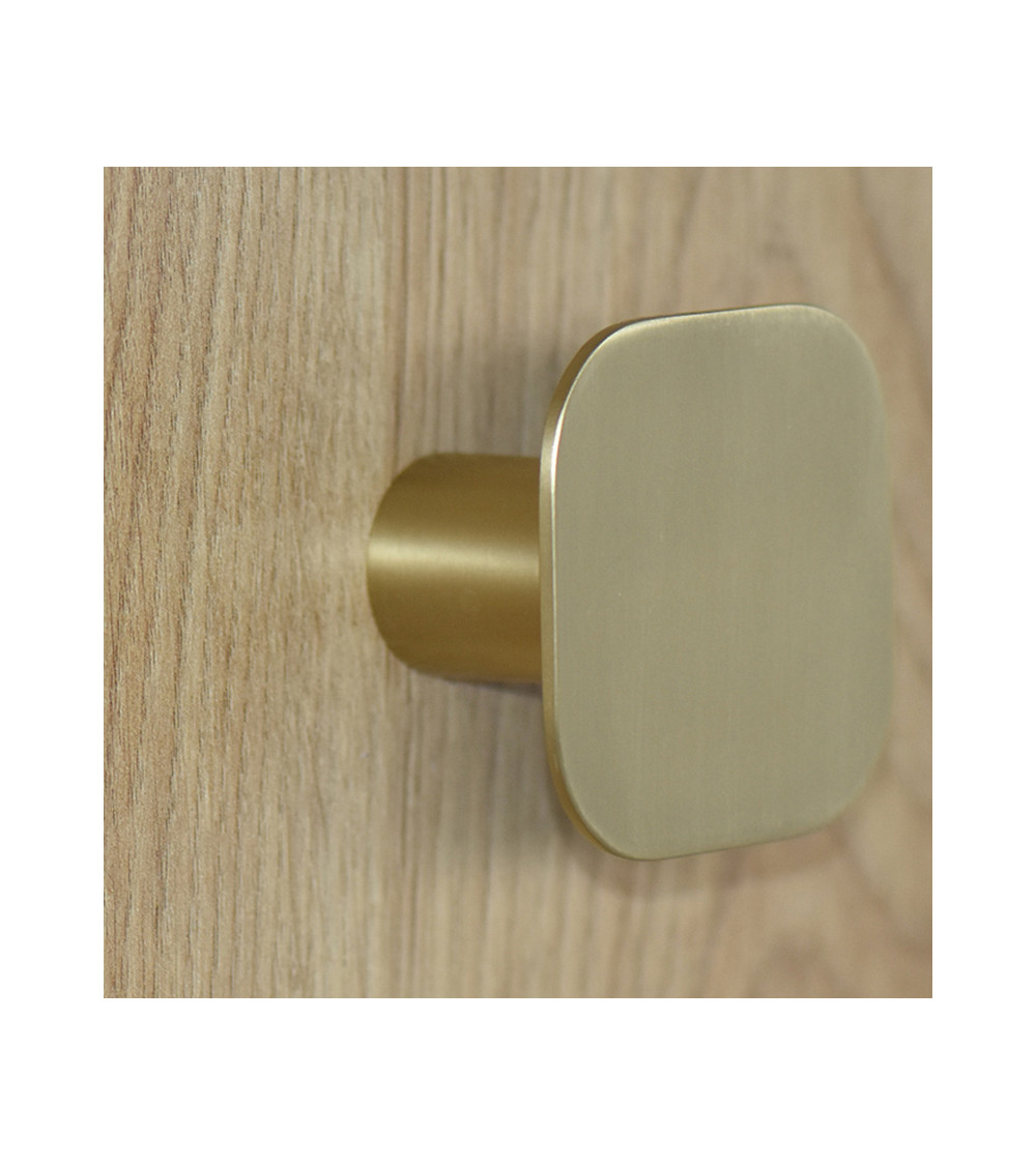 Square fine stainless steel wall hook Satin Gold D.60