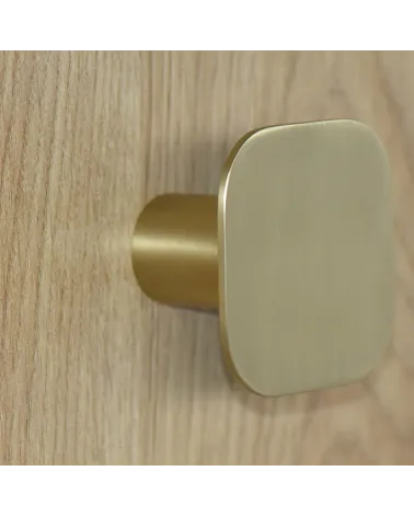 Square fine stainless steel wall hook Satin Gold D.60
