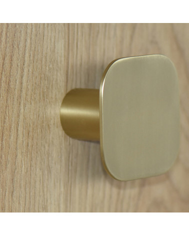 Square fine stainless steel wall hook Satin Gold D.60