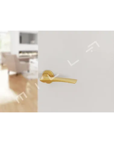 Modern DALIA door handle mounted on an ajar door