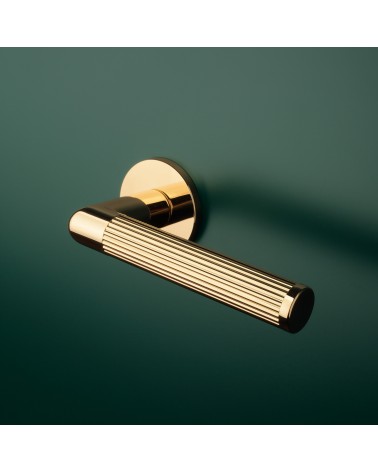 Polished gold LOBELLIA door handle designer interior door mounted on a door