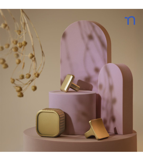 NOX matt gold furniture knob designer handle