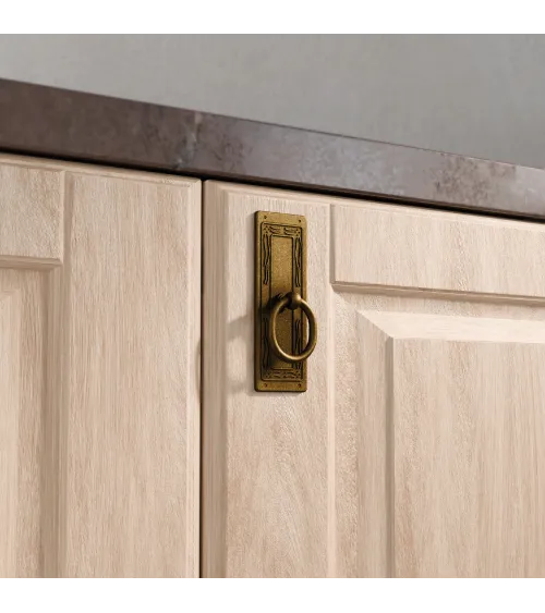 Patinated brass LEDA-2 furniture handle designer handle