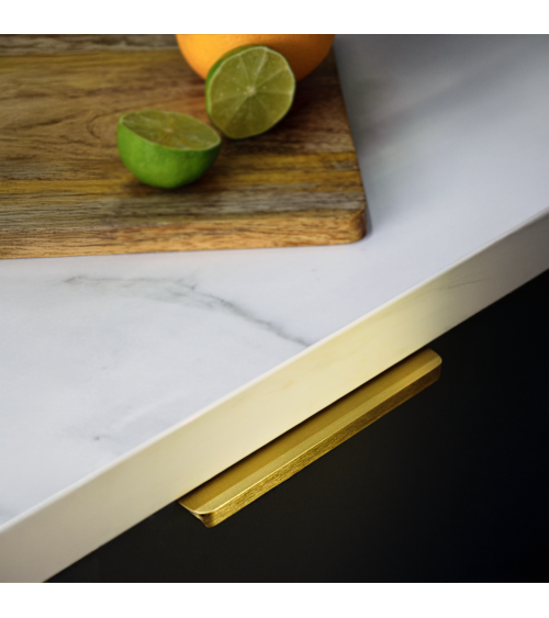 Gold anode TERRA PRO furniture handle design handle