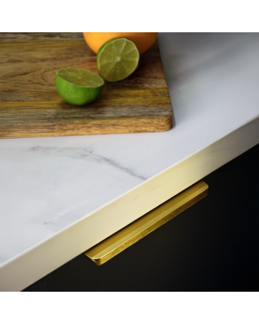TERRA PRO furniture handle design handle mounted on a cabinet