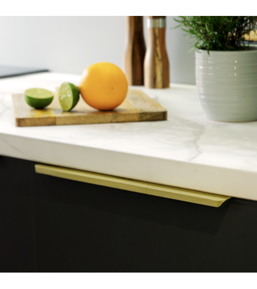 Gold anode TERRA PRO furniture handle design handle