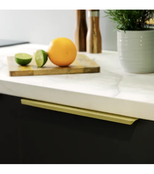 Gold anode TERRA PRO furniture handle design handle