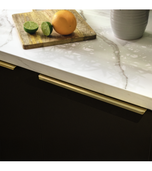 Gold anode TERRA PRO furniture handle design handle