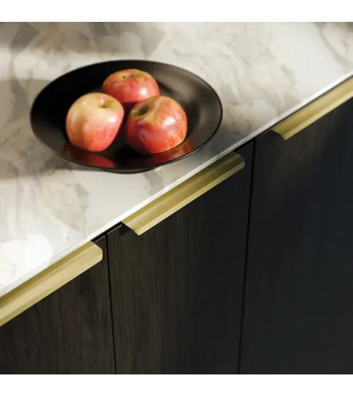 Gold anode TERRA PRO furniture handle design handle
