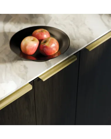 TERRA PRO furniture handle design handle mounted on a kitchen cabinet