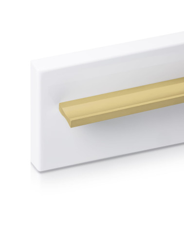 ESSEN gold anode furniture handle design handle fixed on a panel