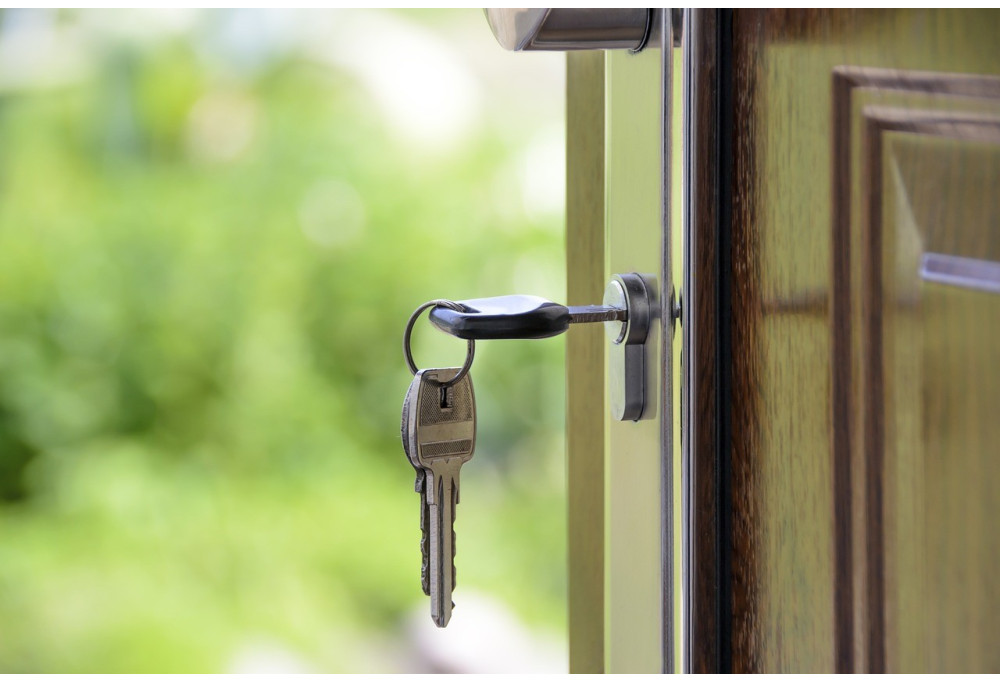 Which Handle for Front Door