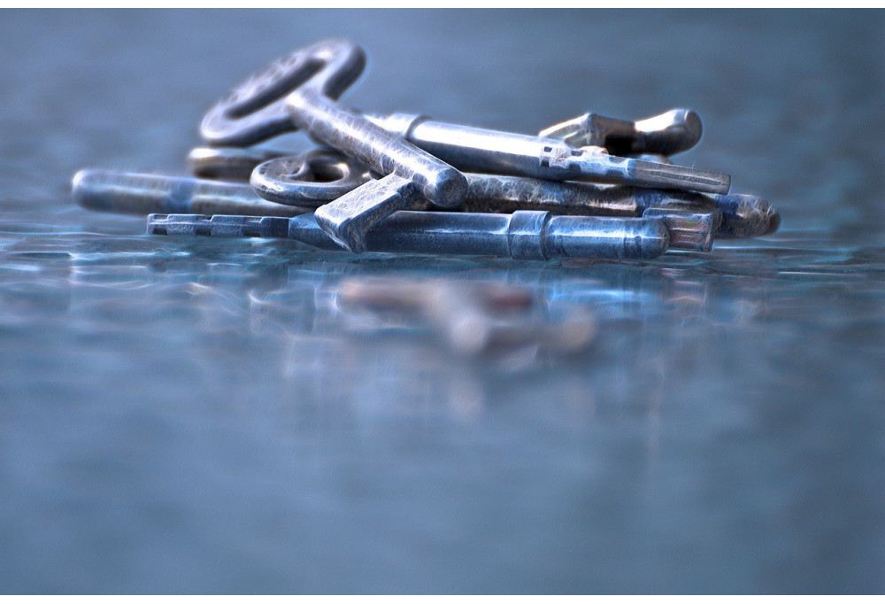 Door hardware: the essential decorative accessories