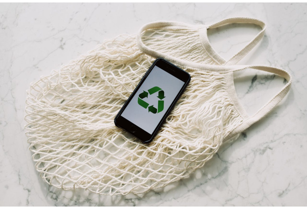 Eco-responsibility: select sustainable materials for your interior