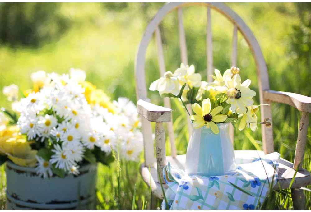 How to easily decorate your garden?  