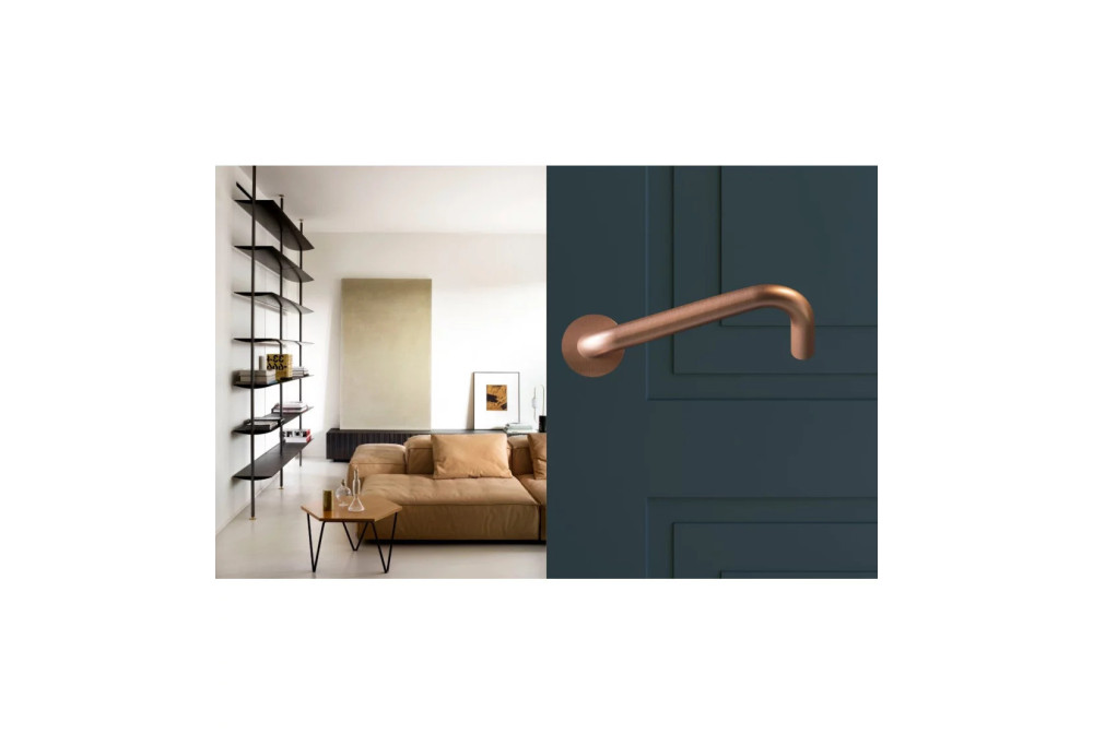 PRM (People with Reduced Mobility) Door Handle Standards