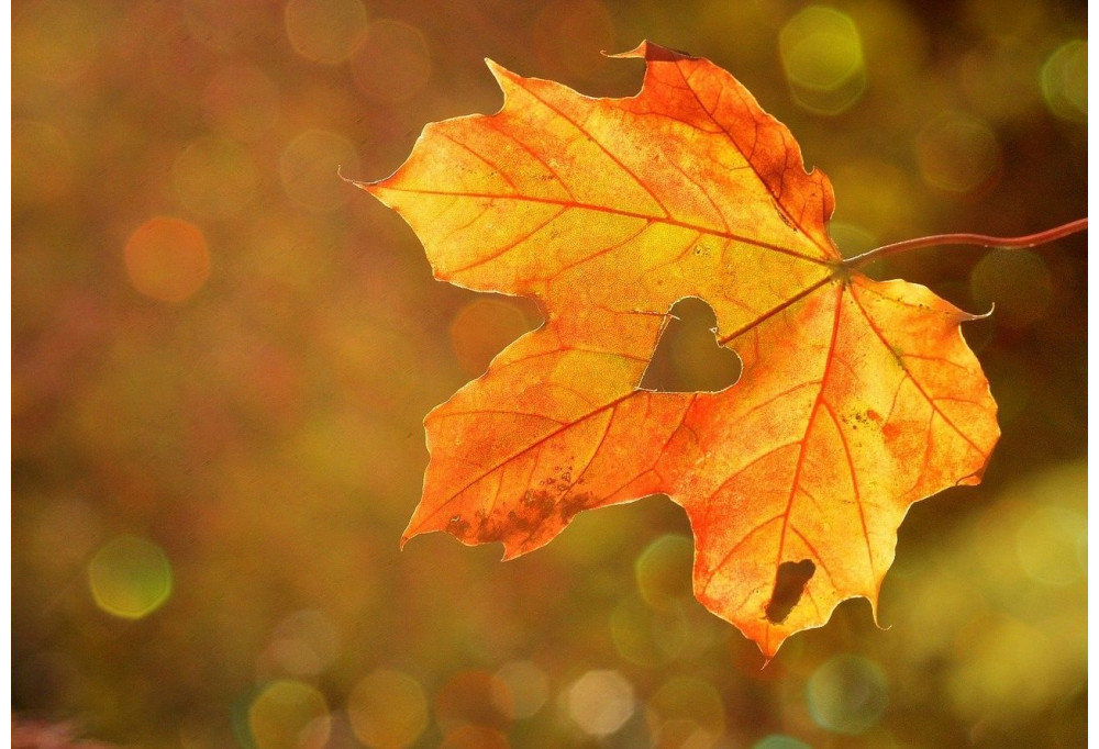 Autumn colours in your interior
